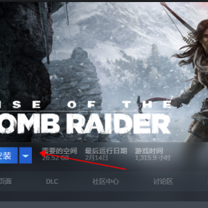 古墓丽影：崛起点击下载游戏为什么速度很慢？