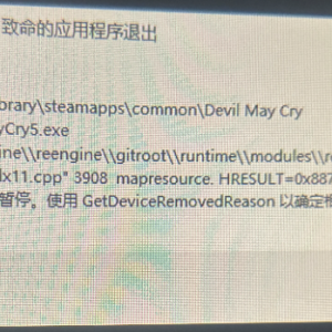 《鬼泣5》报错致命的应用程序退出的解决办法