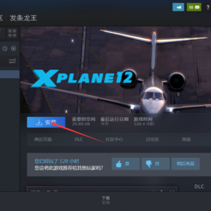 《X-Plane 12》点击下载游戏为什么速度很慢？